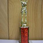 Trophy 041
Size and color of column can be customized 